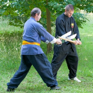 exercices de Wing Chun Kung Fu avec les doubles-couteaux