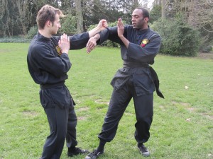 wingchun1