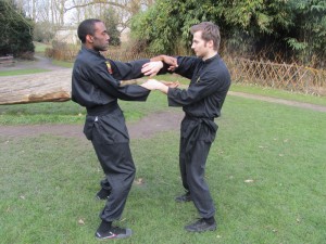 wingchun3