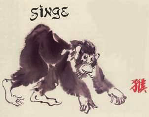 Année du singe