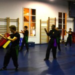 Stage avec Sifu Albert CHEW