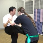 Wing Chun Kung Fu