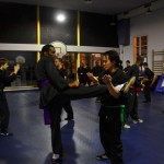 Stage avec Sifu Albert CHEW