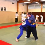 Wing Chun/Jujitsu Brésilien