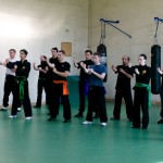 Stage avec Sifu Tran Ngoc Dinh