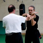 Stage avec Sifu Tran Ngoc Dinh