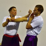 Stage avec Sifu Albert CHEW