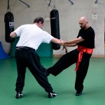 Stage avec Sifu Tran Ngoc Dinh