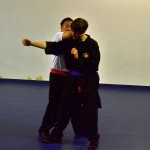 Stage avec Sifu Albert CHEW