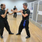 Wing Chun Kung Fu