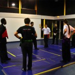 Stage avec Sifu Albert CHEW