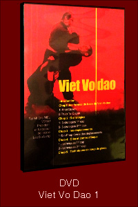 DVD Viet Vo Dao Lee Siu Lung