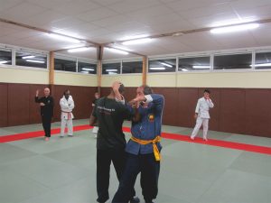 wingjijitsu-10