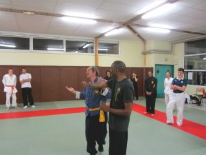 wingjijitsu-11