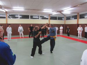 wingjijitsu-2