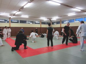 wingjijitsu-3