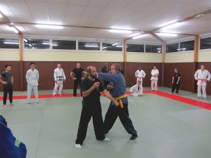 wingjijitsu-4