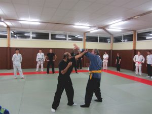 wingjijitsu-6