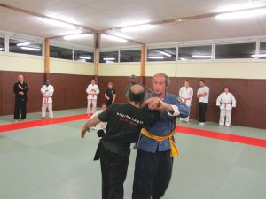 wingjijitsu-8