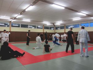 wingjijitsu-9