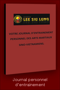 DVD Viet Vo Dao Lee Siu Lung