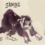 Année du singe